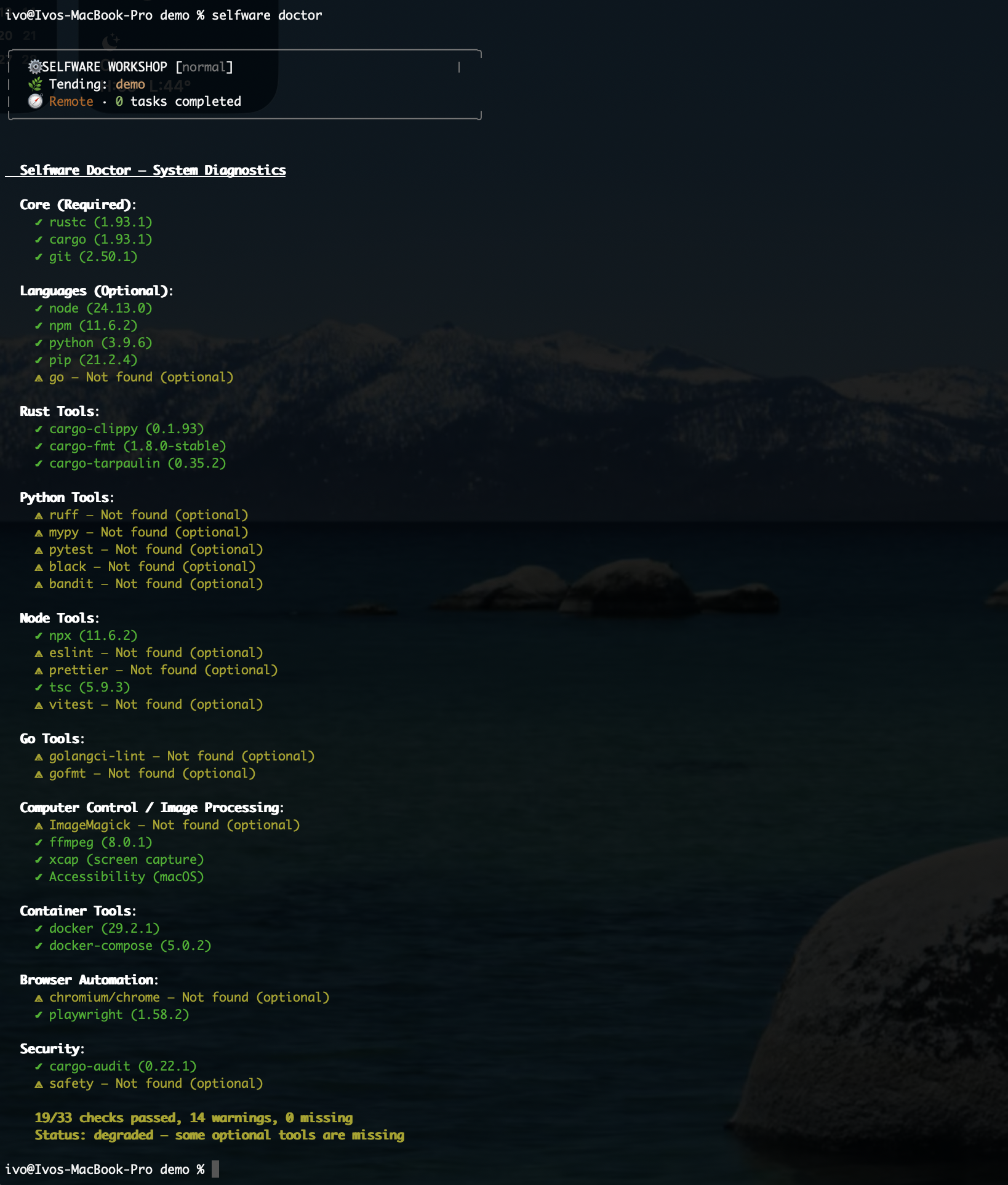 Selfware doctor command showing system diagnostics — Rust tools, Python tools, security checks, container tools